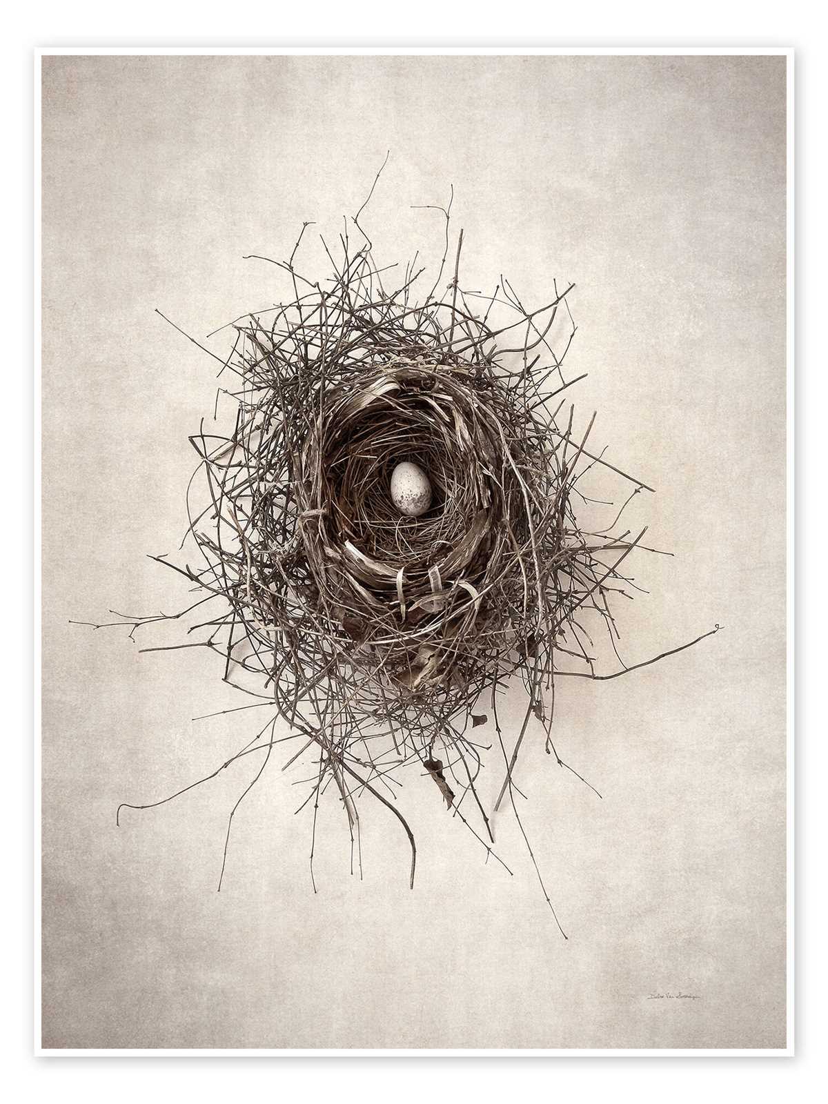 printable bird nest