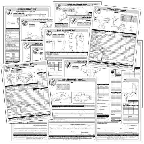 printable boone and crockett score sheet