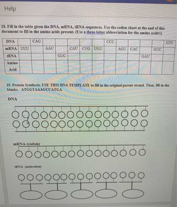 printable codon chart