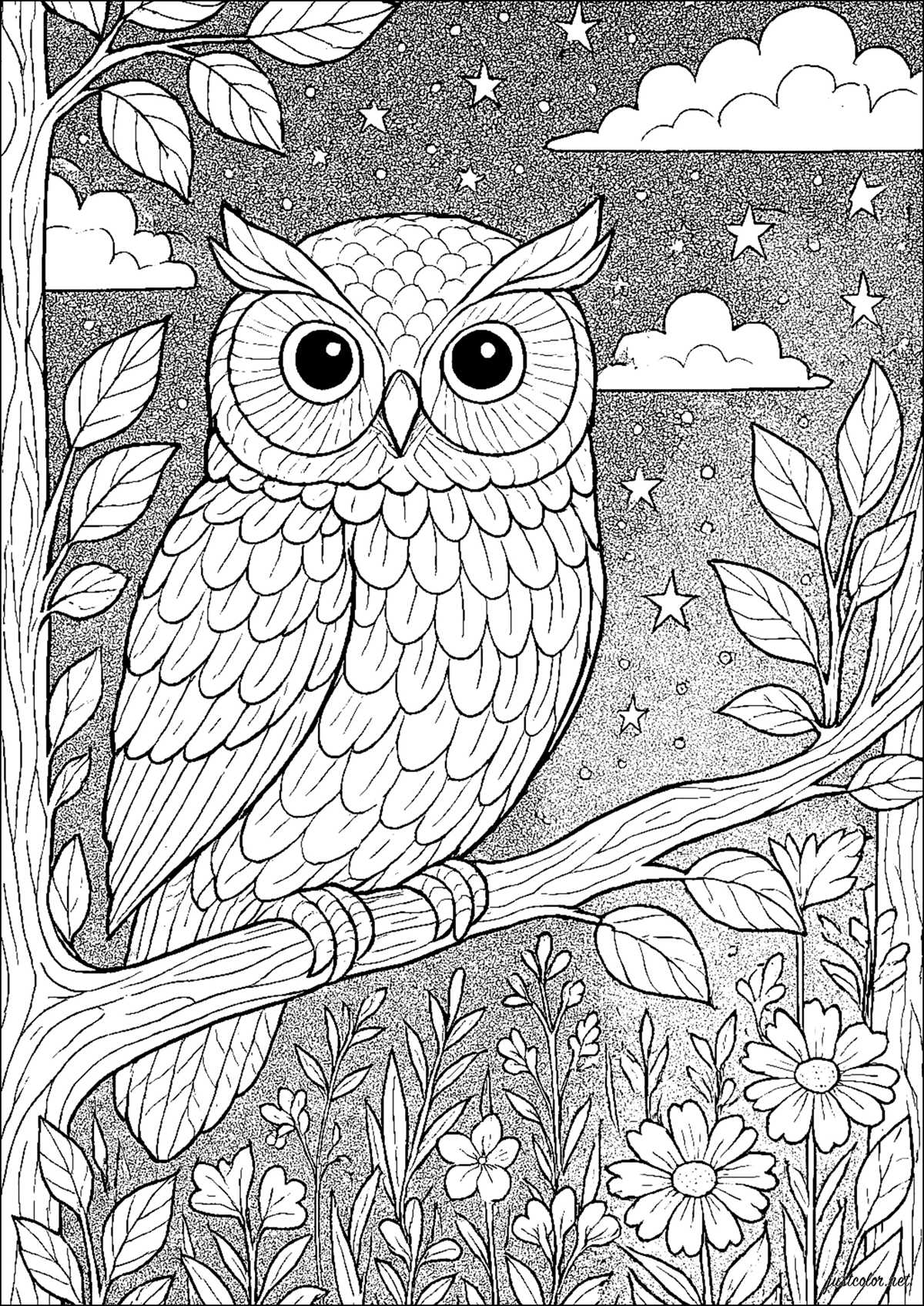 printable coloring books for adults