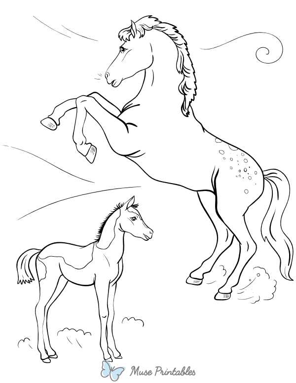 printable coloring pages horses