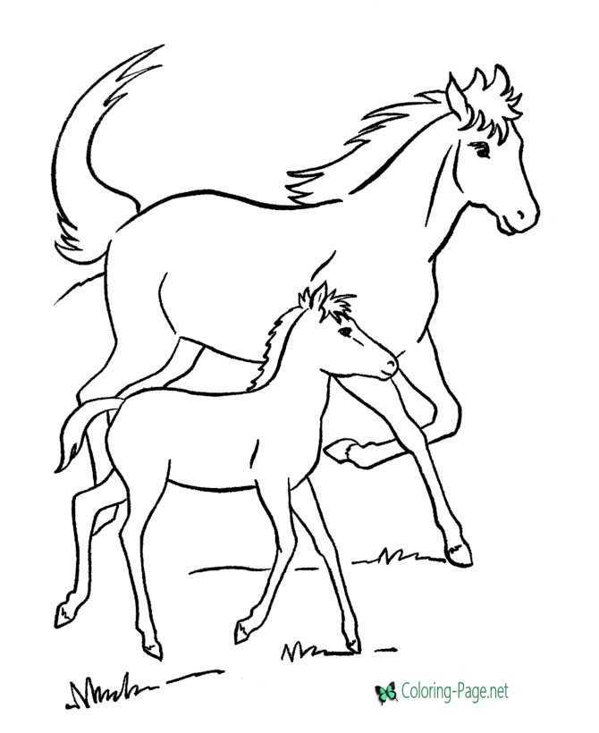 printable coloring pages horses