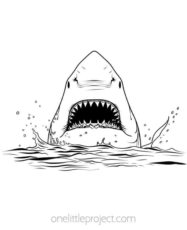 printable coloring pages sharks