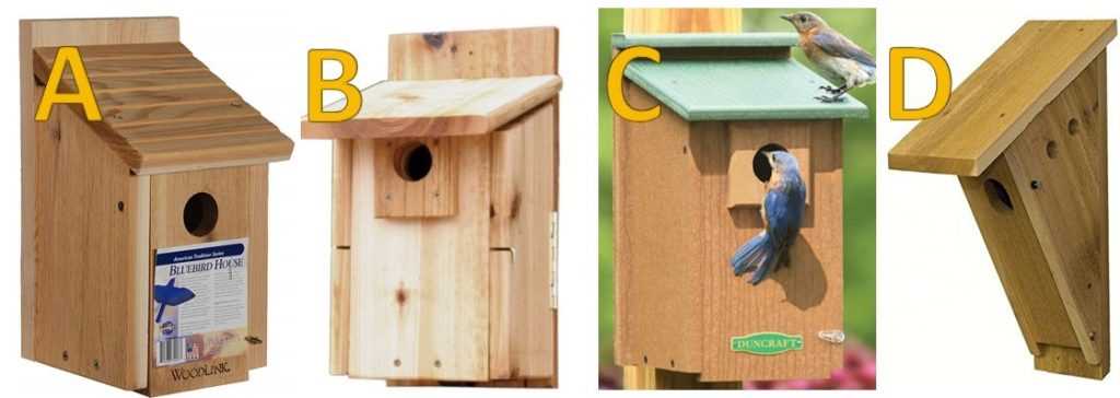 printable eastern bluebird house plans