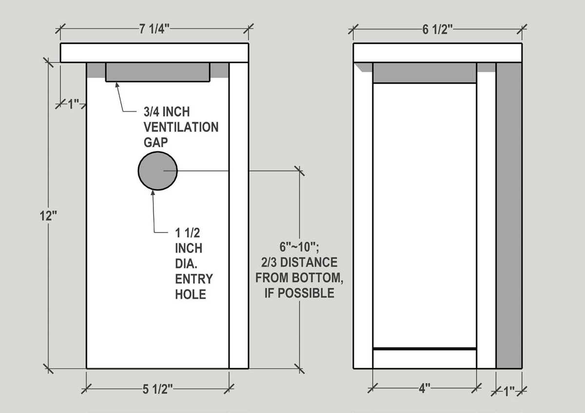 printable eastern bluebird house plans