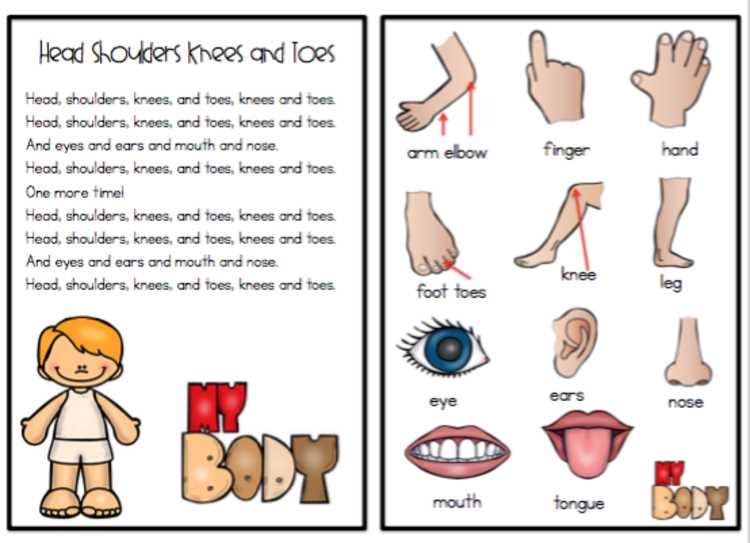 printable head shoulders knees and toes