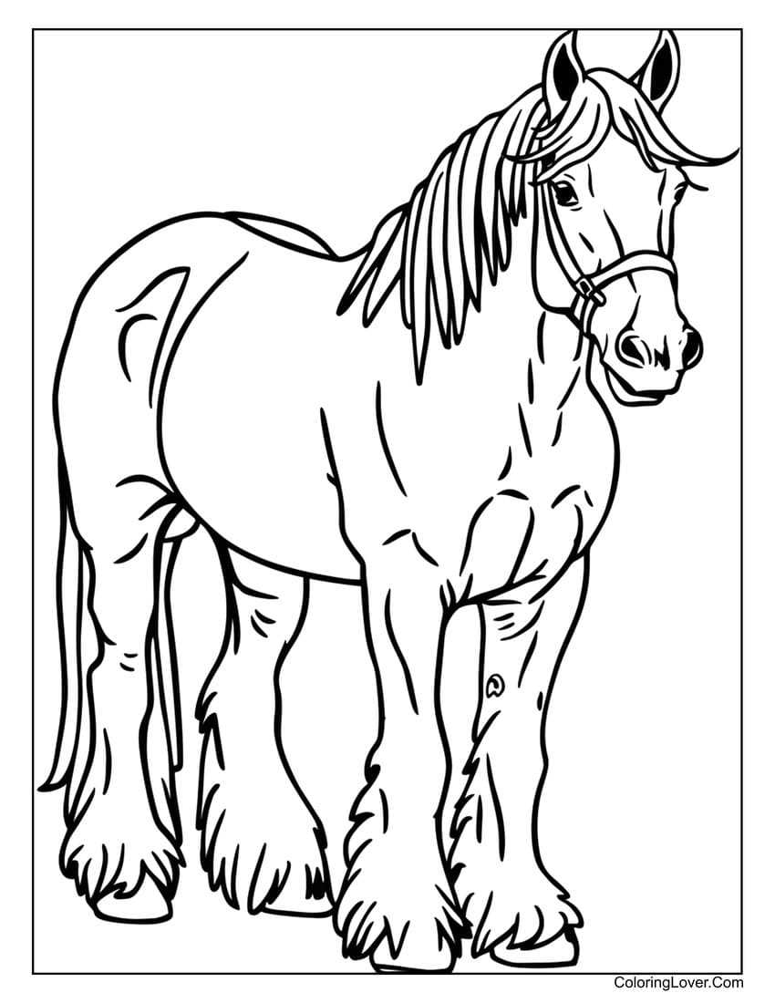 printable horse coloring pictures