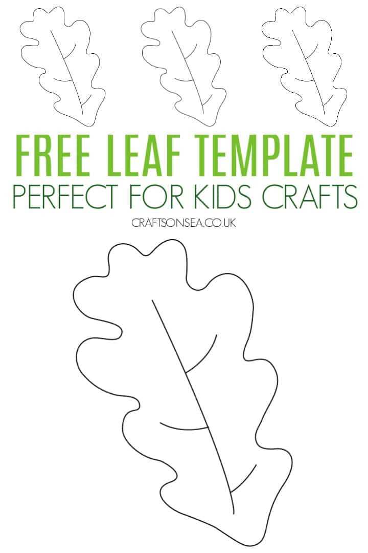 printable leaf pictures