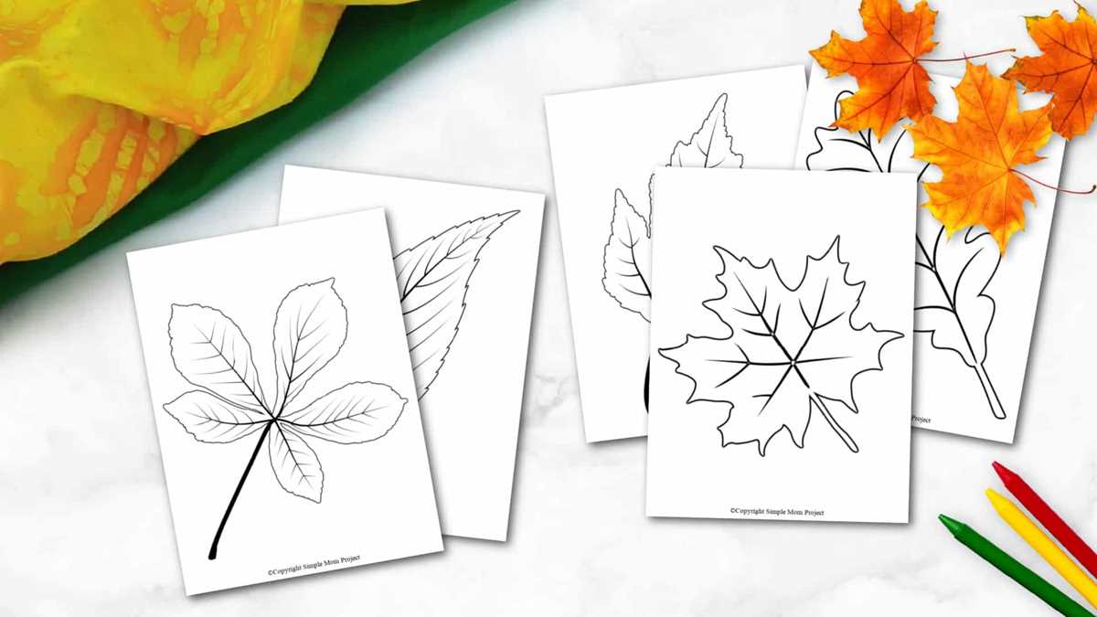 printable leaf templates