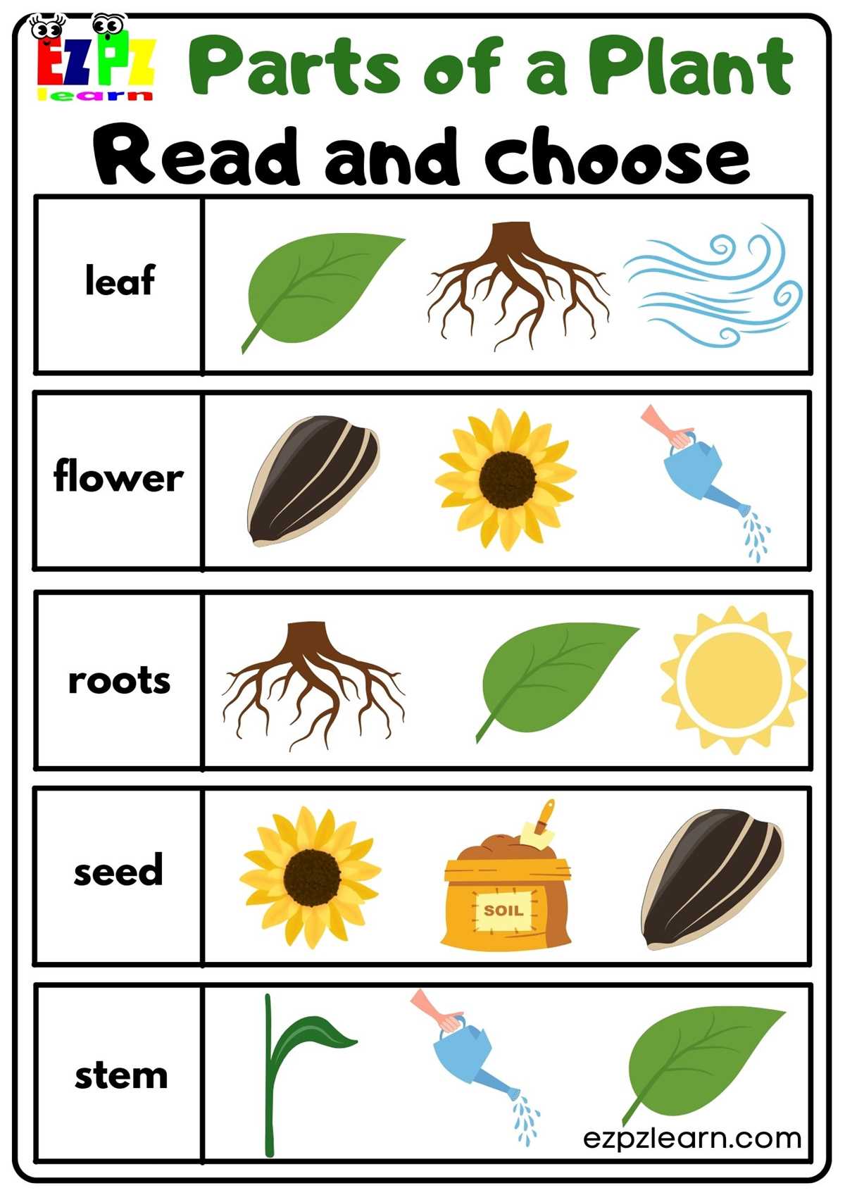 printable plant parts