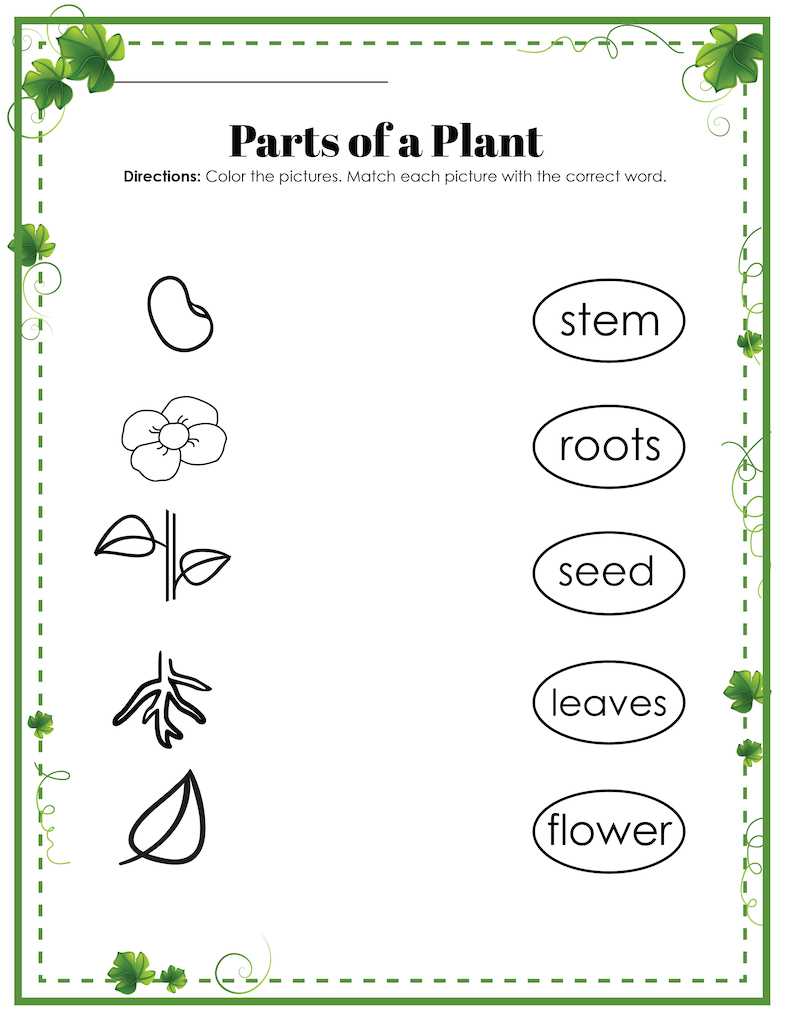 printable plant parts