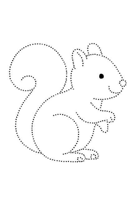 printable squirrel pattern