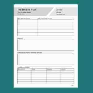printable treatment plan template