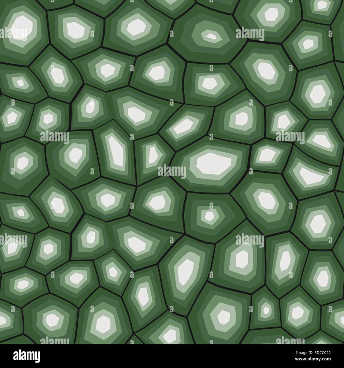 printable turtle shell pattern
