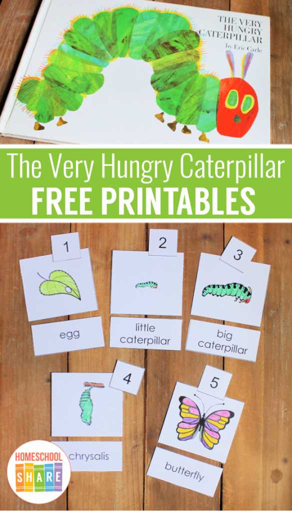 printable very hungry caterpillar