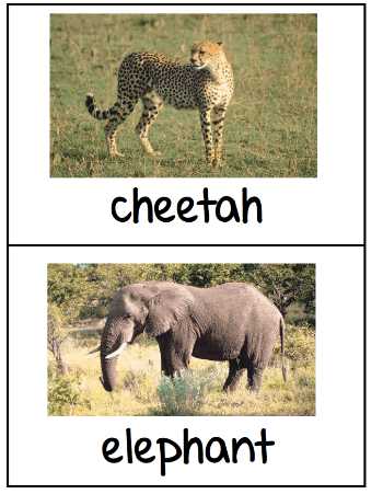 printable zoo animals