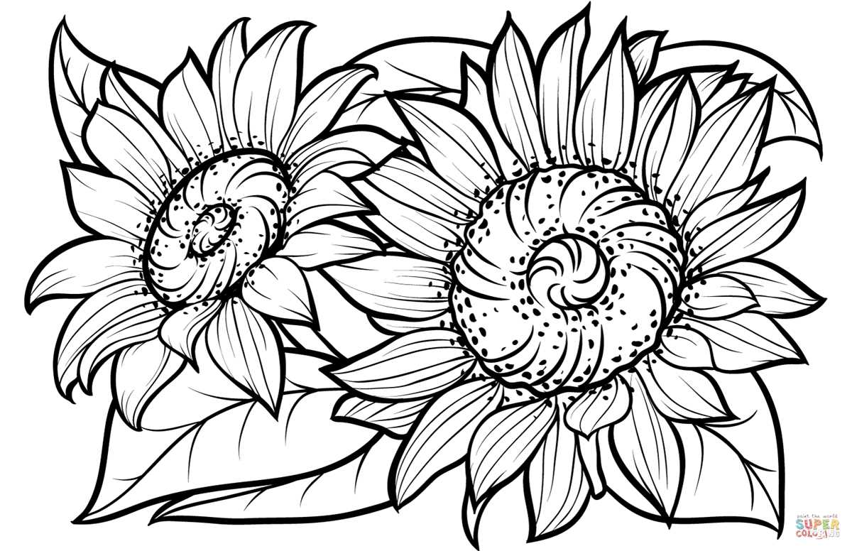 free printable sunflower coloring pages