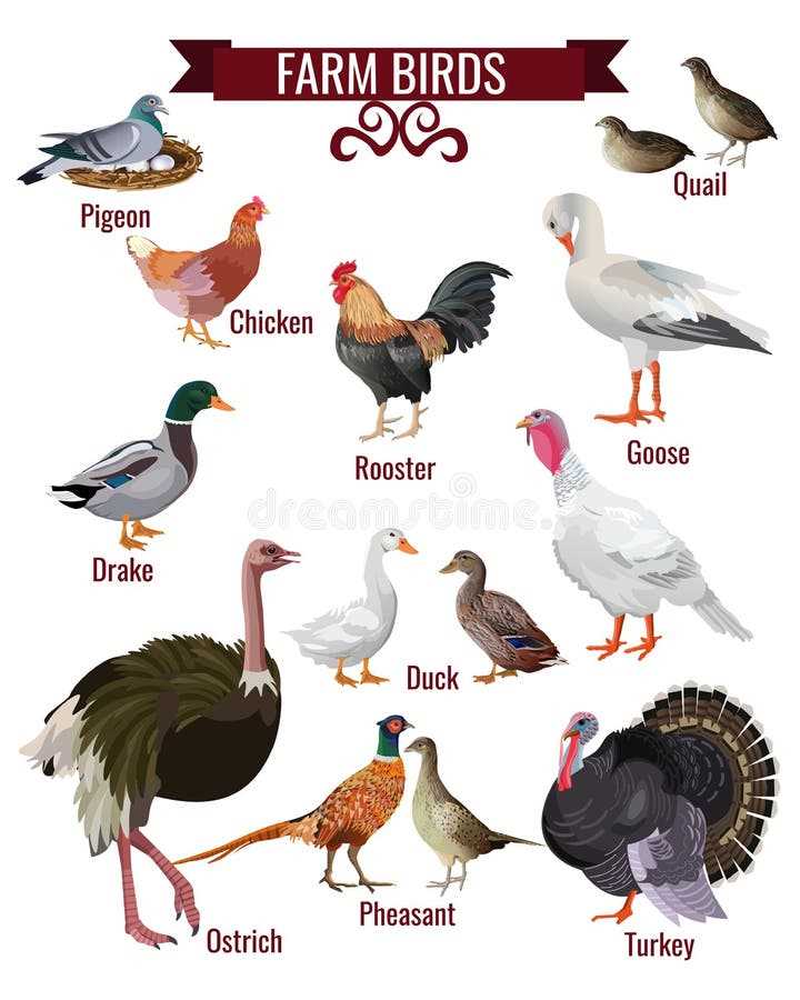 realistic printable farm animals