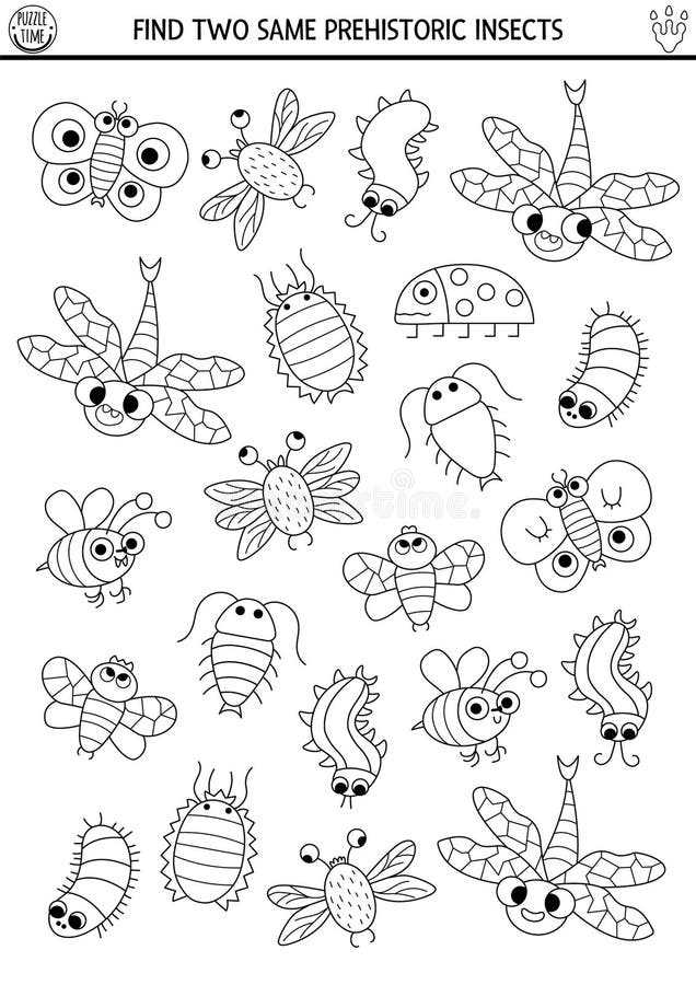 printable pictures of bugs and insects
