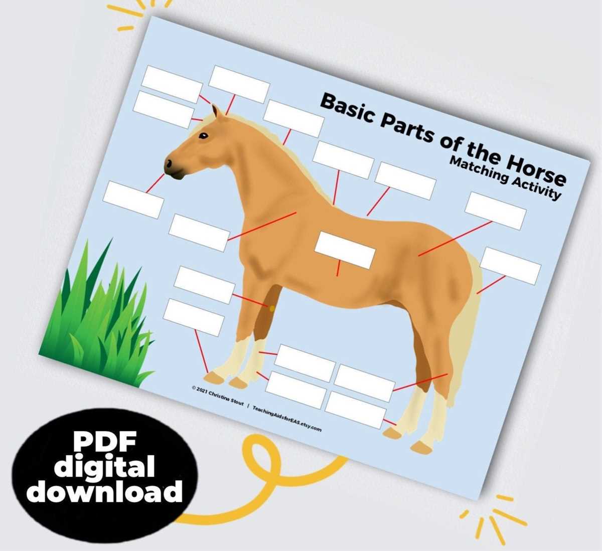 printable parts of a horse