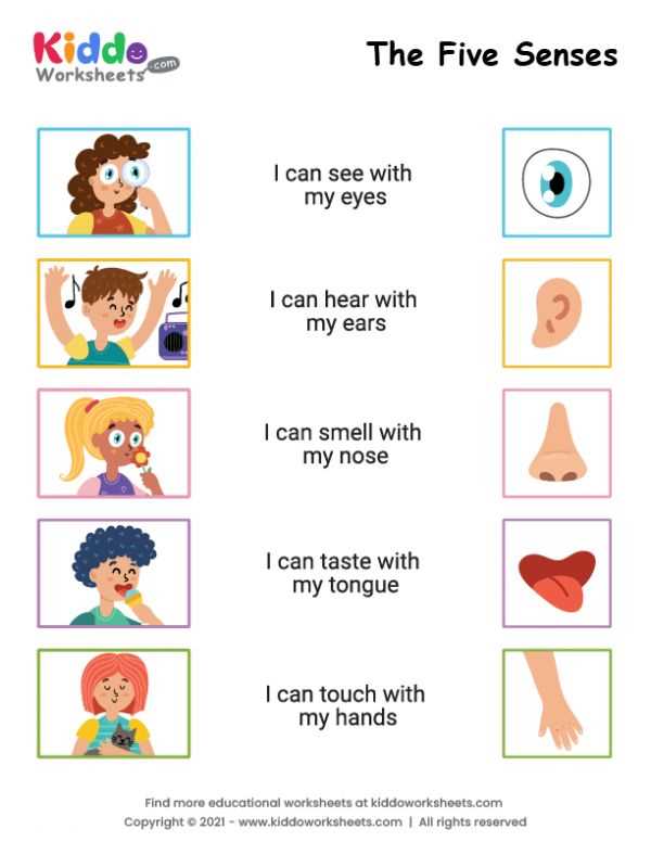 free printable 5 senses worksheets