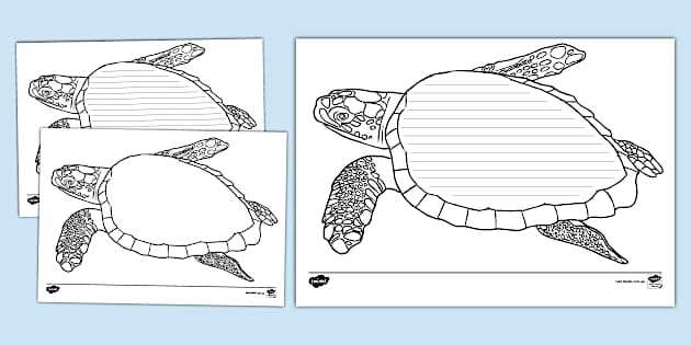 sea turtle printable