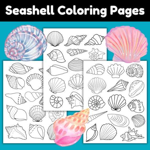 seashell printable coloring pages