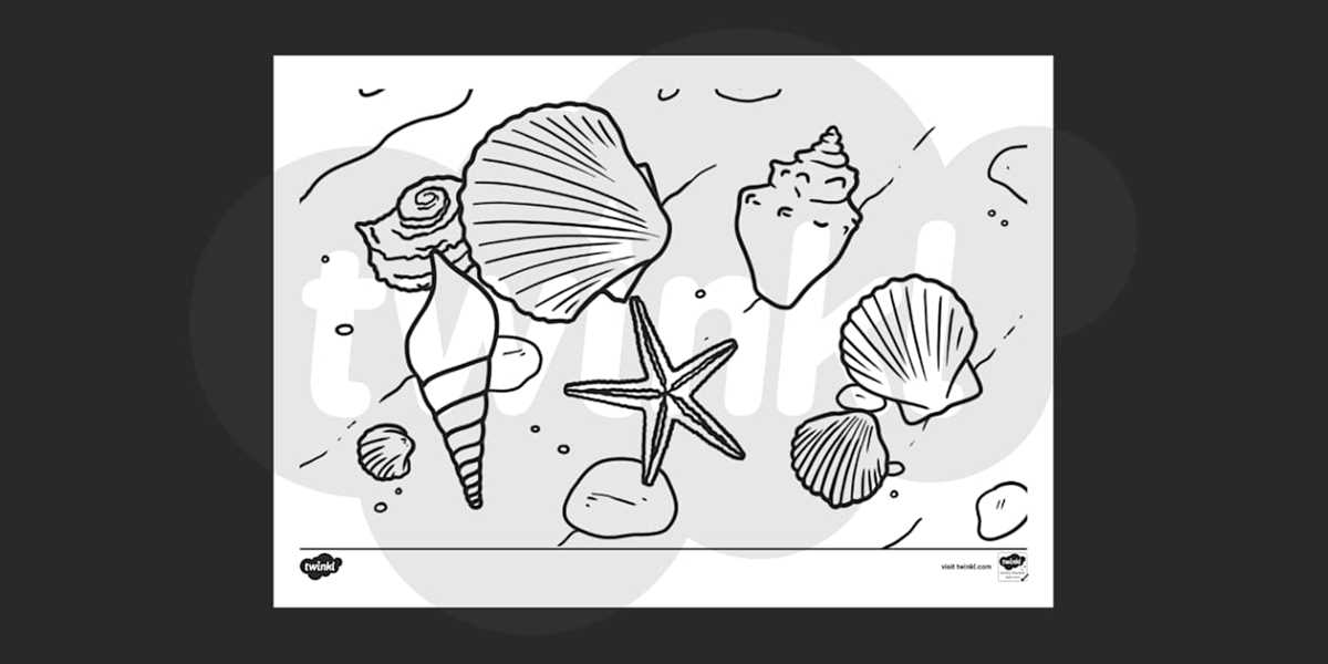 seashell printable coloring pages