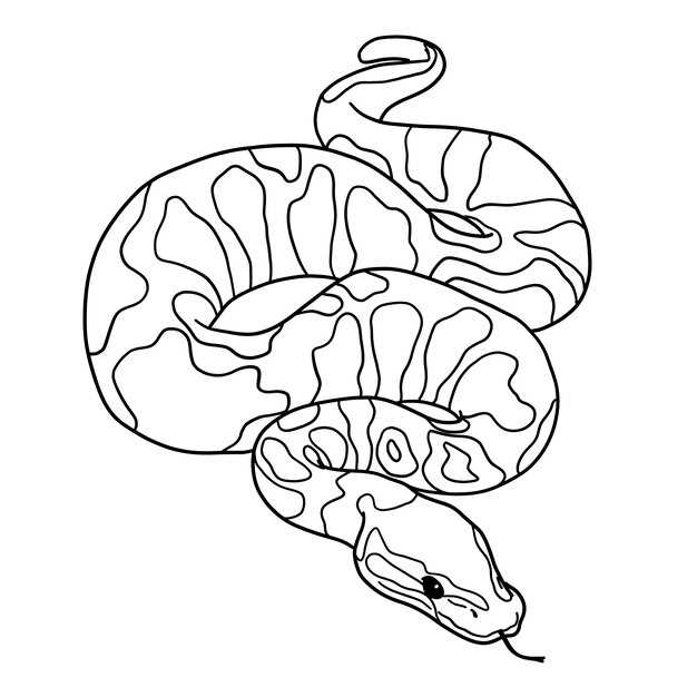 snake coloring pages printable
