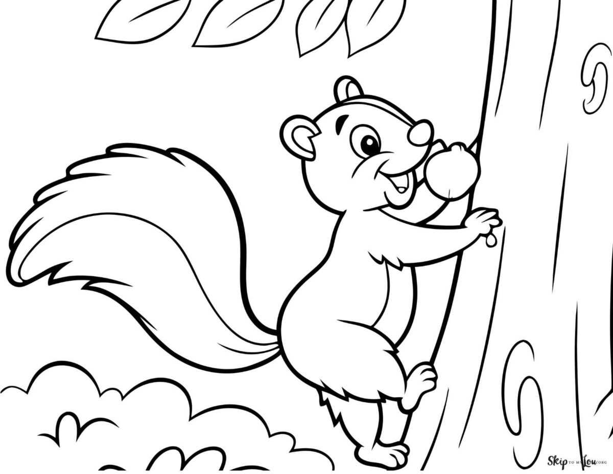 squirrel coloring pages free printable