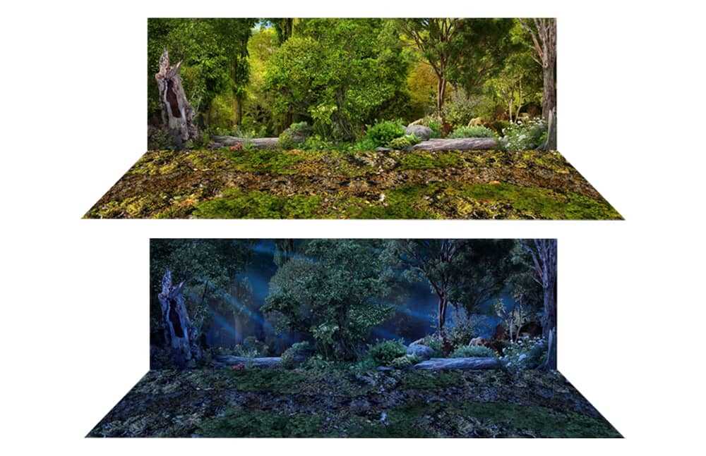 printable rainforest background for diorama
