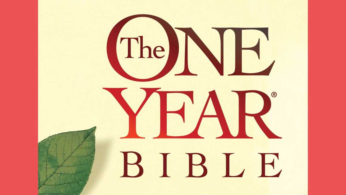 bible reading plans printable one year