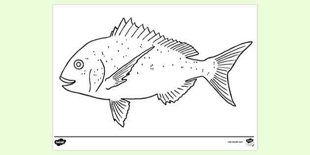 fish pictures printable