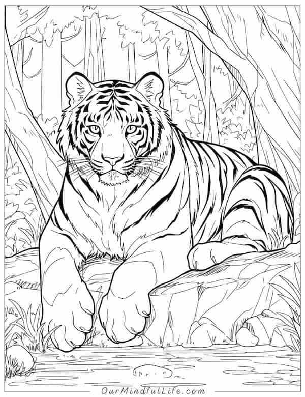 tiger coloring pages free printable