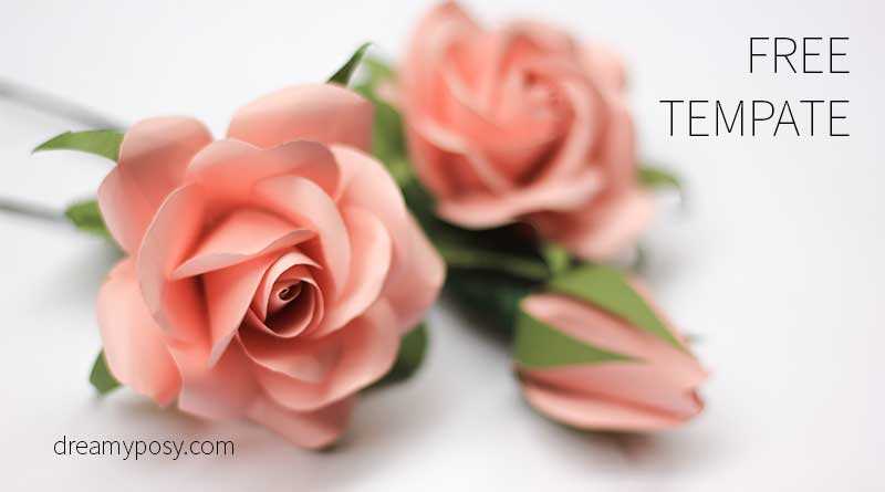 rose printable template