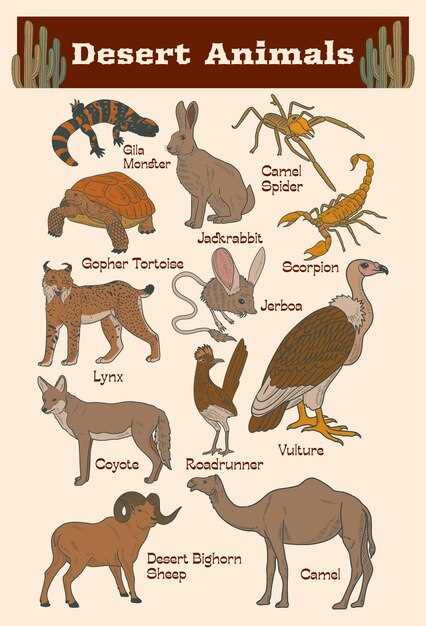 printable desert animals