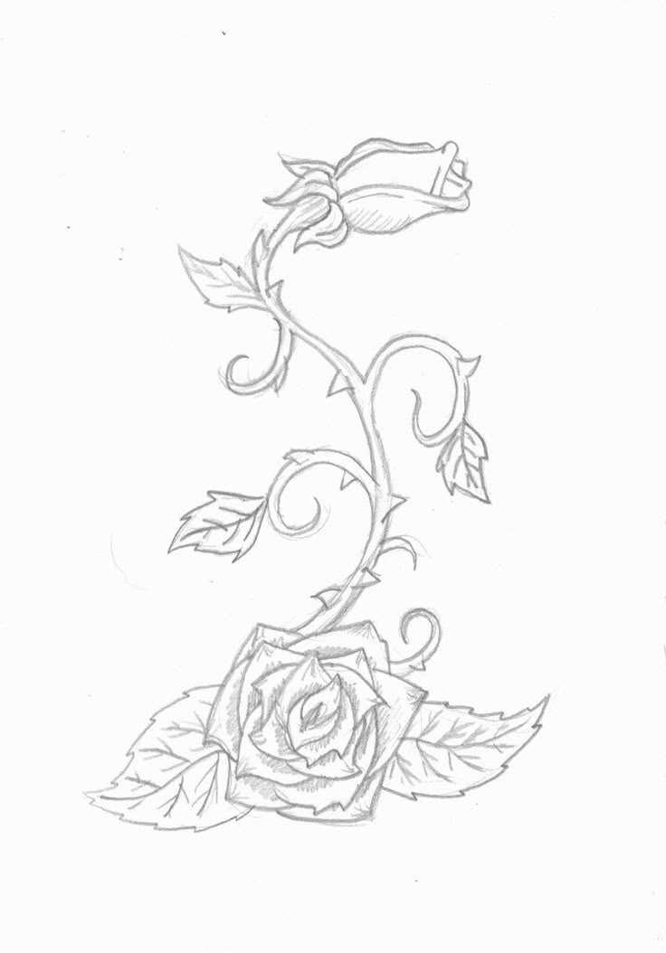 vine tattoo stencil printable
