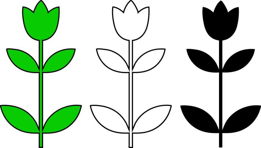 tulip outline printable