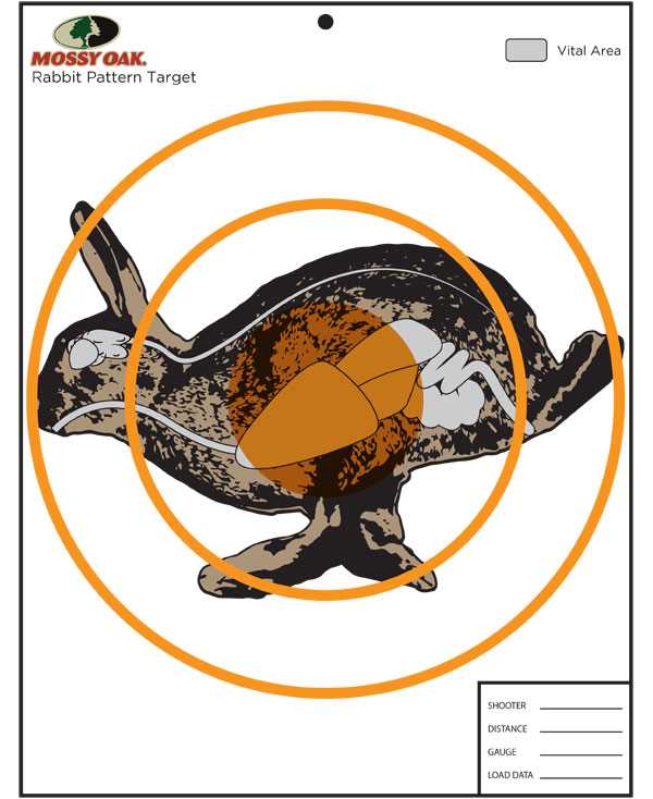 deer vitals target printable