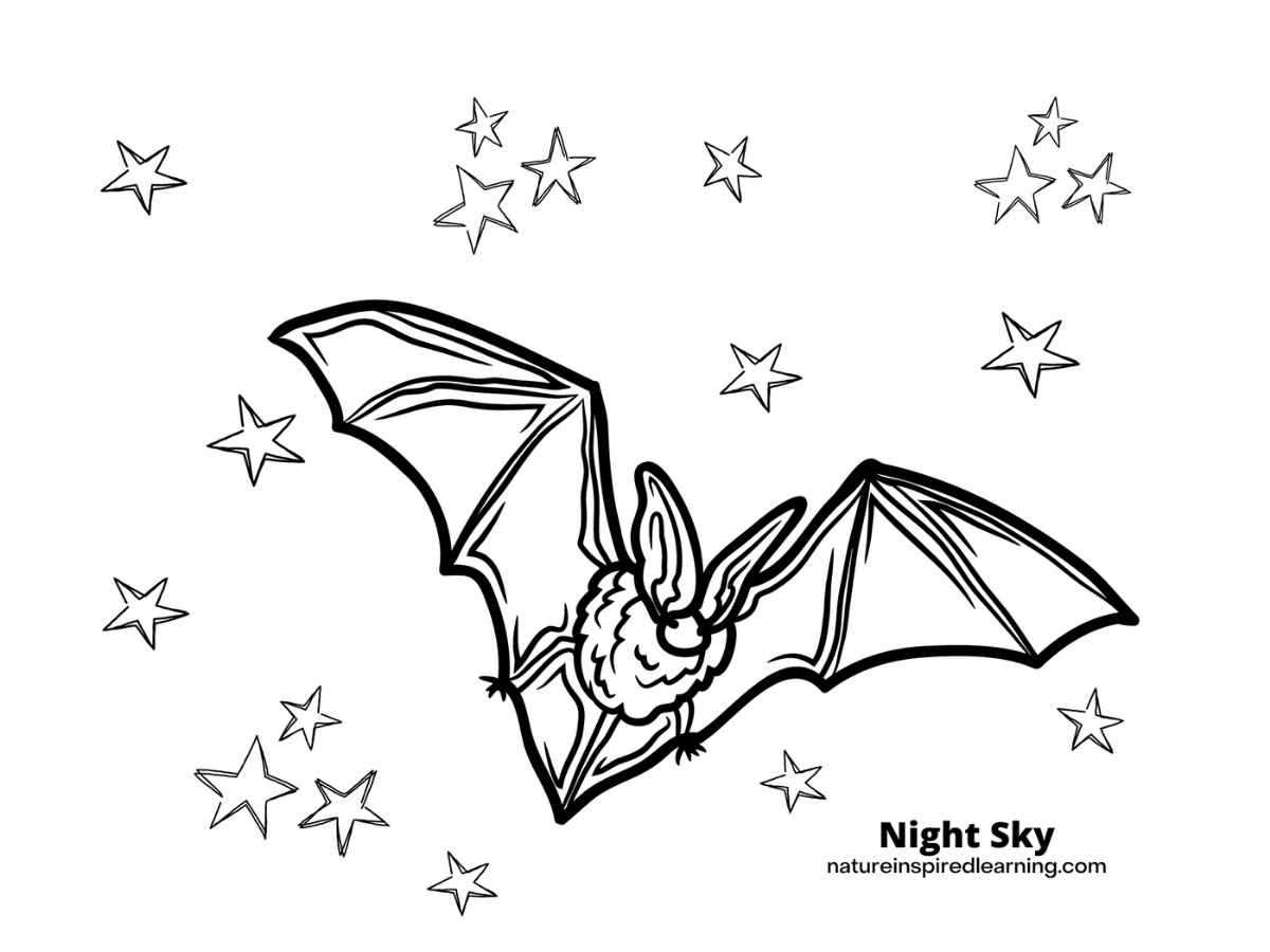 bat printable free