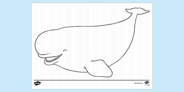 whale coloring pages printable