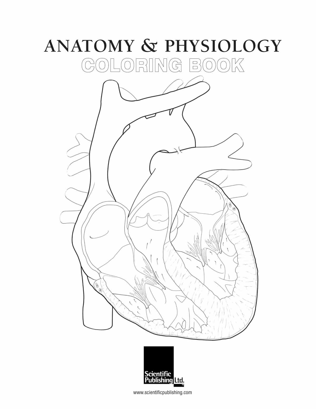 anatomy coloring pages printable