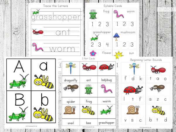free printable insect worksheets