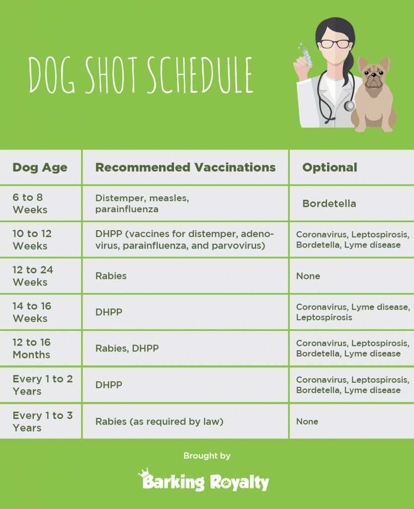 puppy shot schedule printable