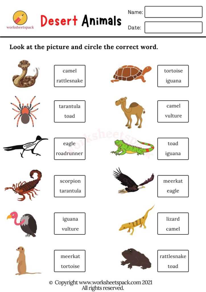 desert animals printables
