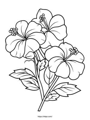 printable flowers coloring pages