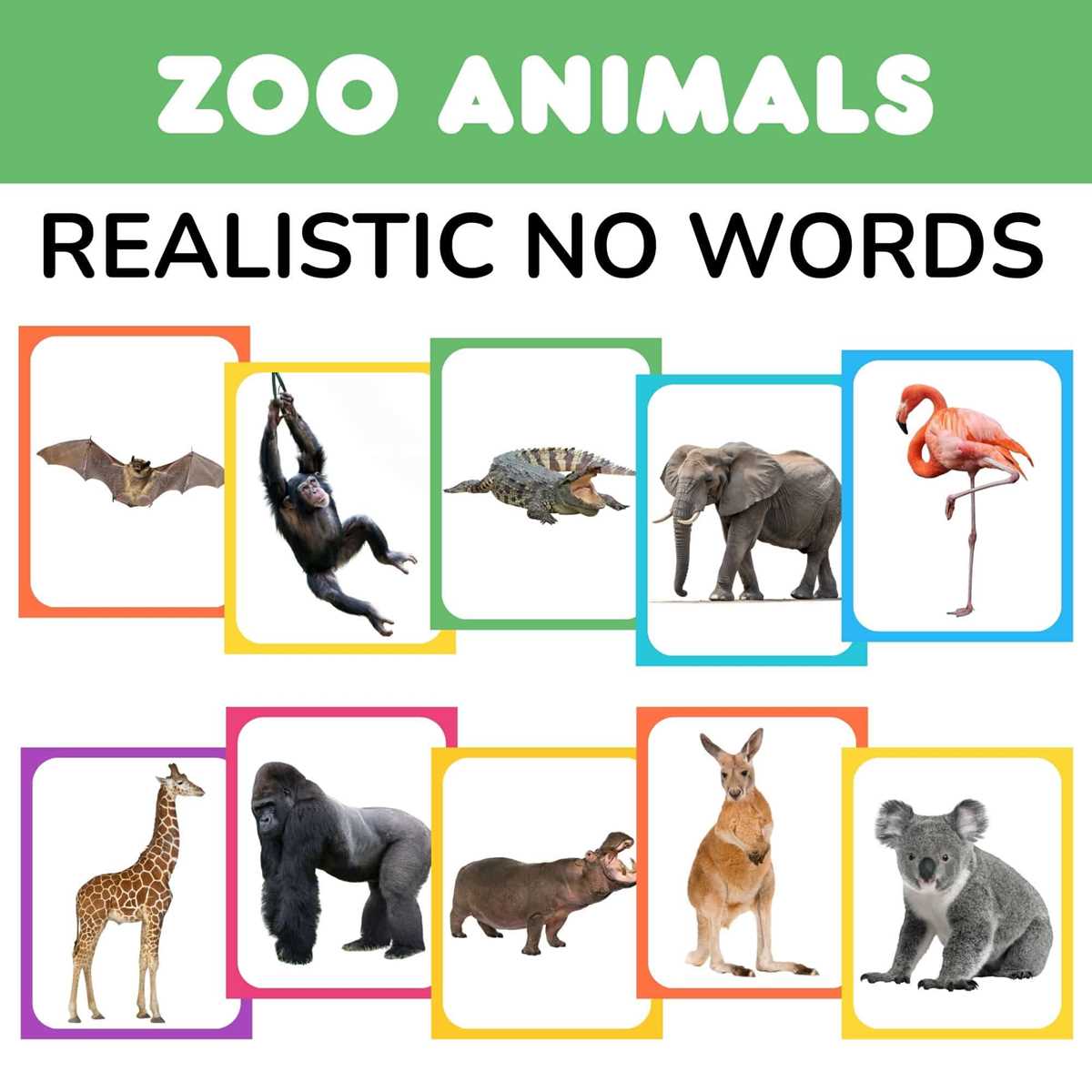 zoo animal printables
