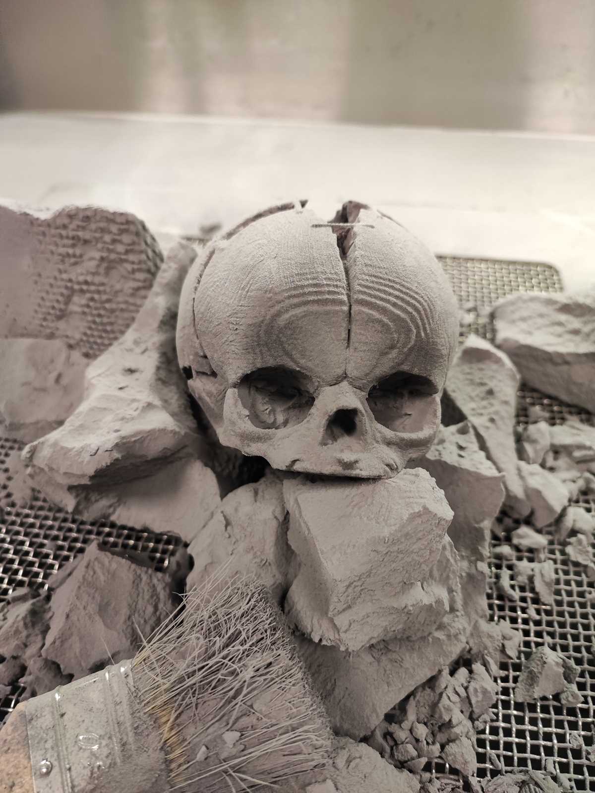 3d printable skull