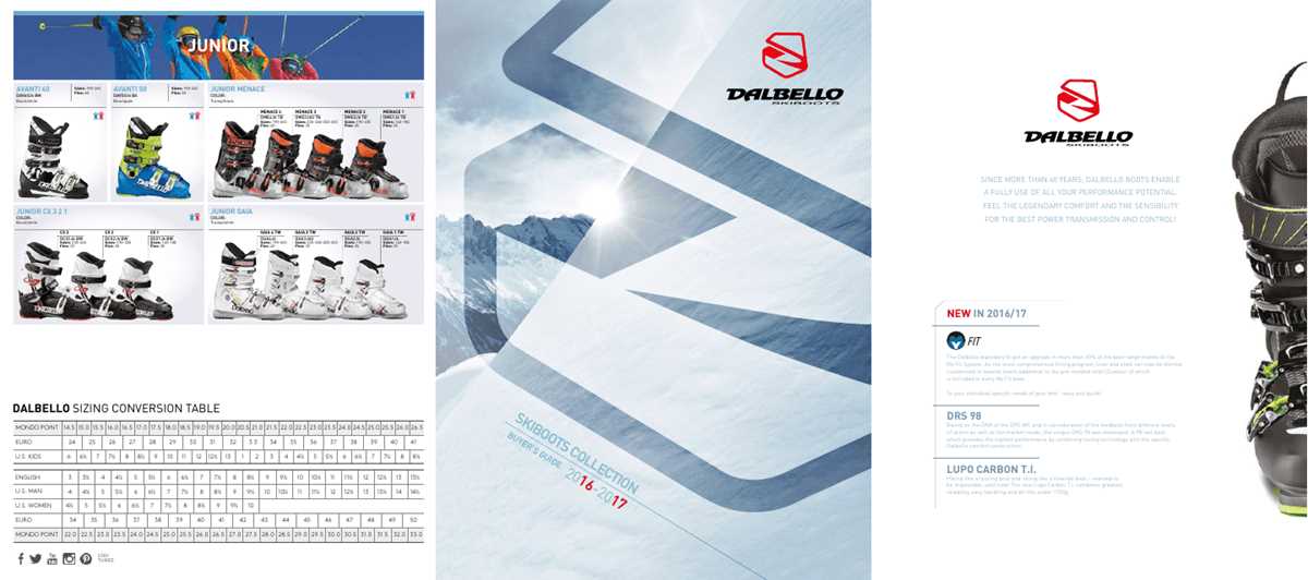printable ski boot size chart