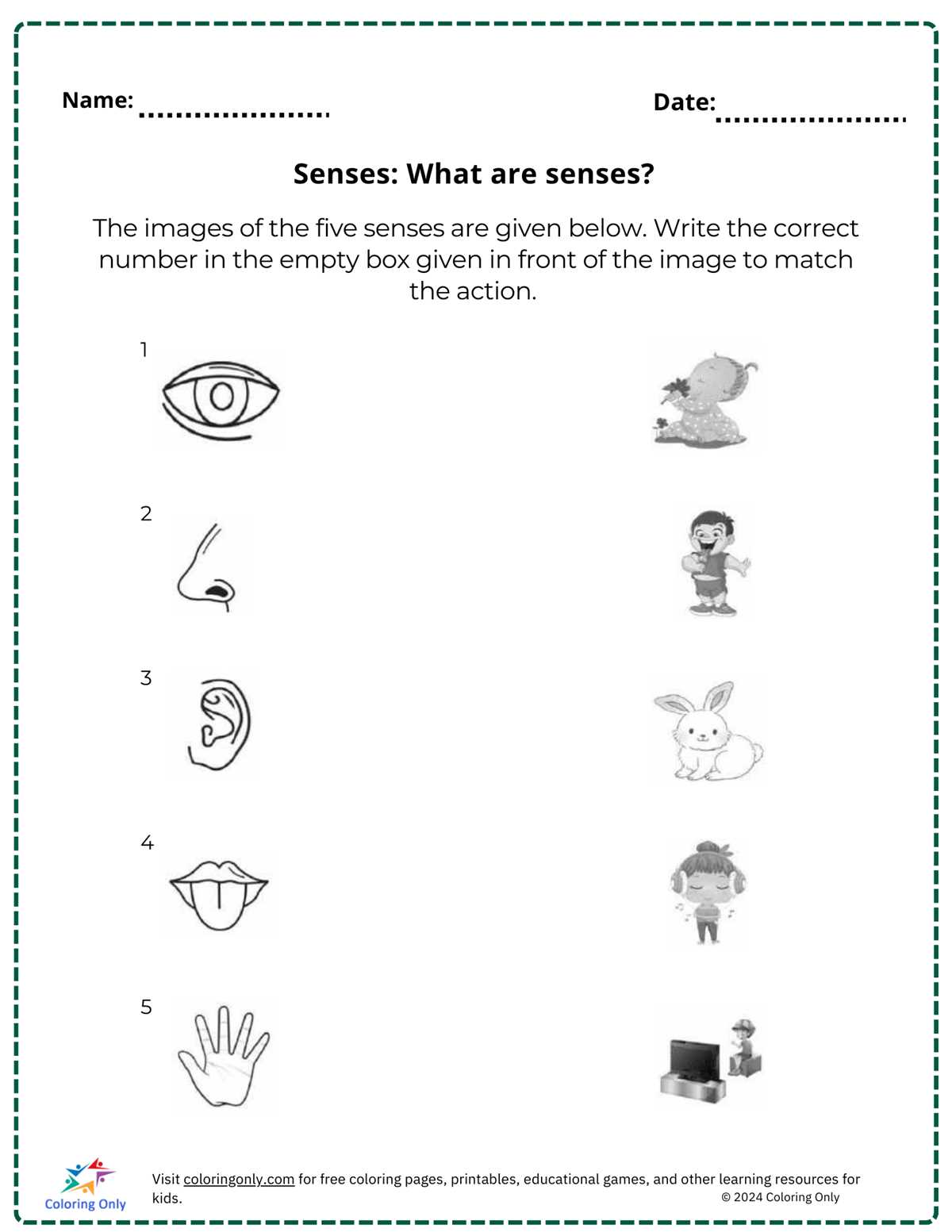 five senses worksheets free printables